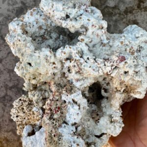 DEAD CORAL 1KG 