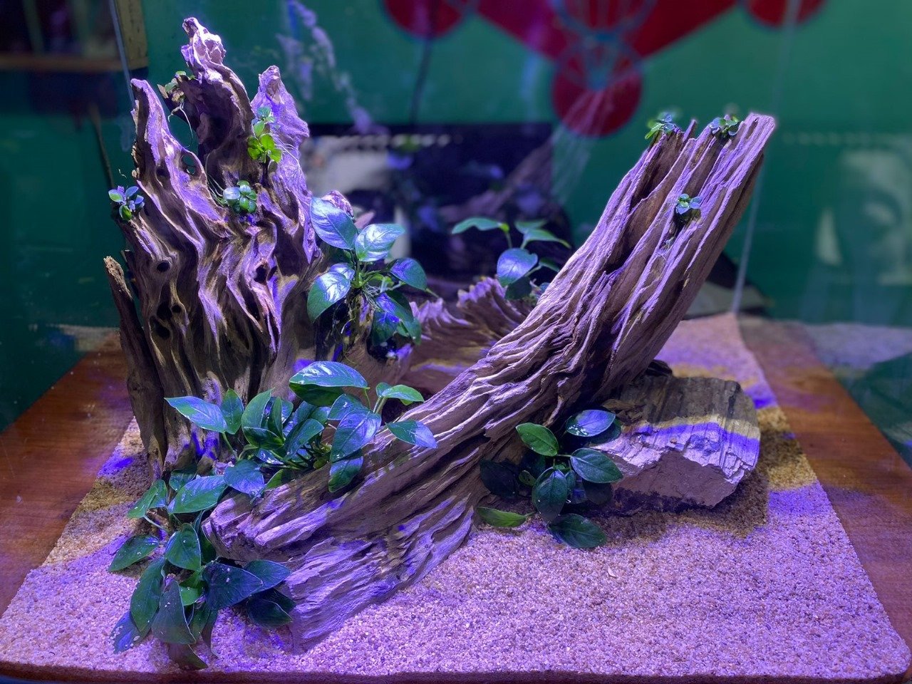 094608284df74bd0962ecc9b26ff7aca