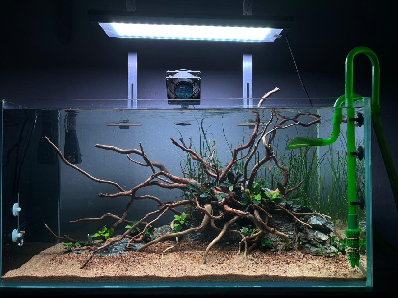 WhatsApp Image 2025-08-07 at 12.11.31_e21600ce