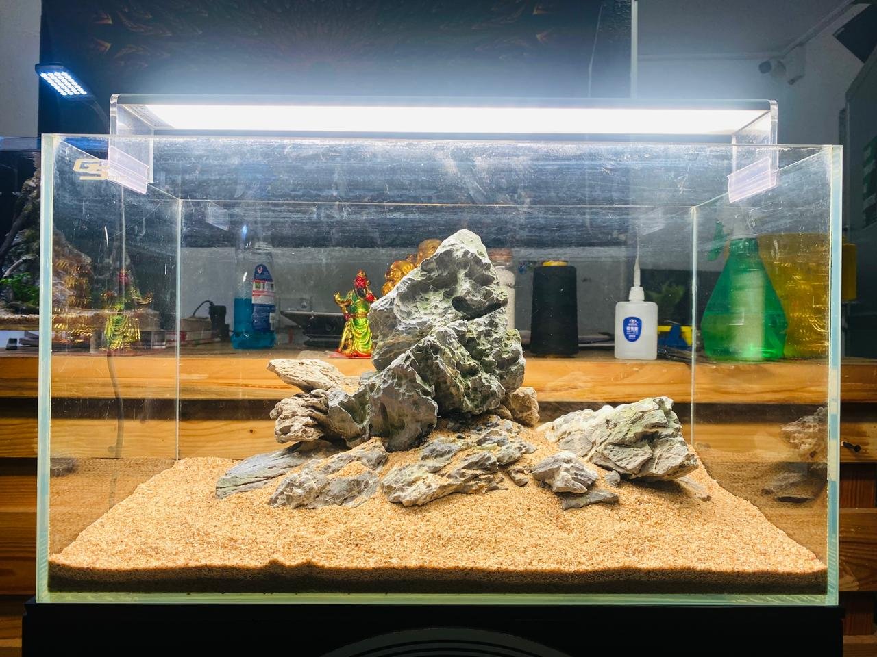 WhatsApp Image 2025-08-07 at 12.14.27_7513c672