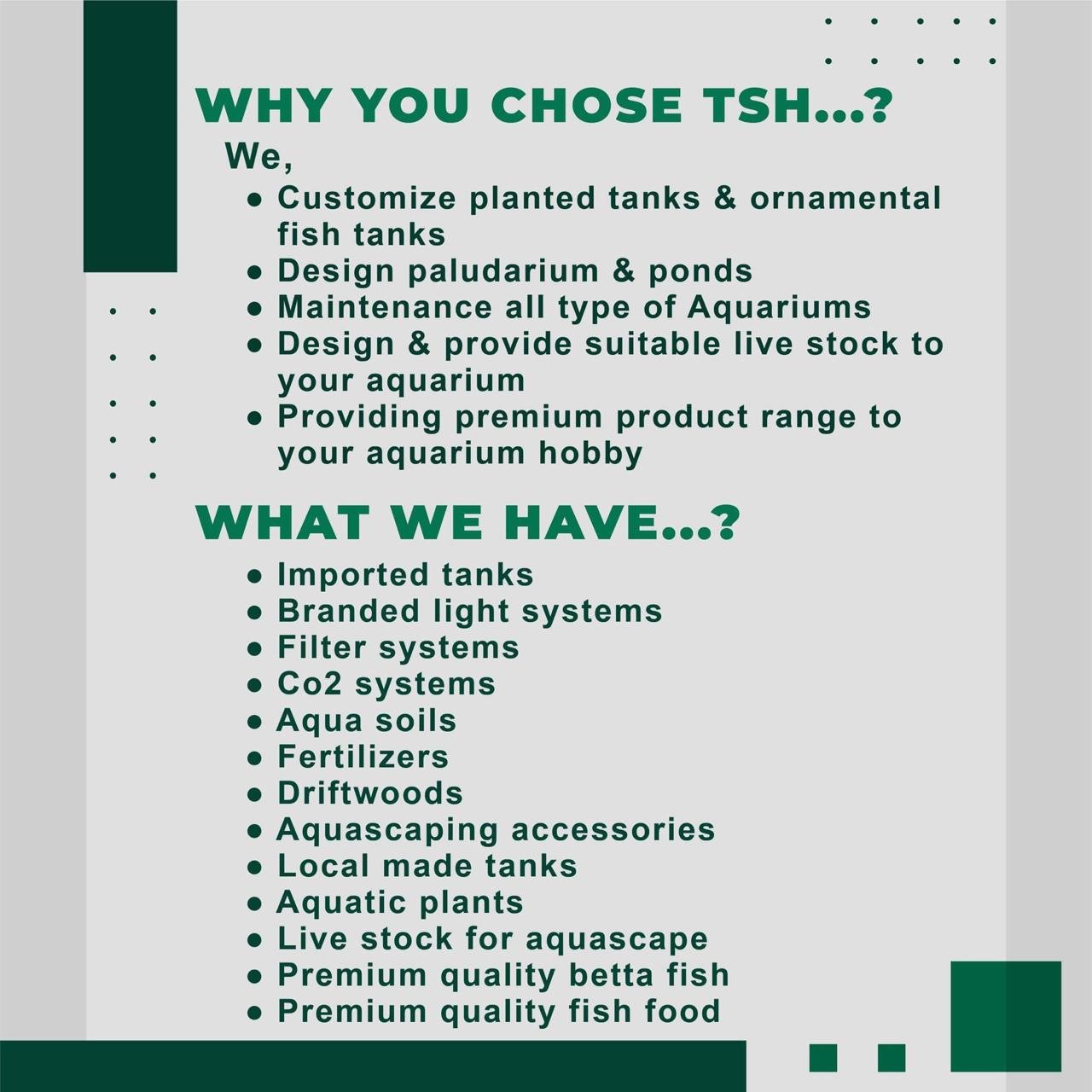 WhatsApp Image 2025-08-07 at 12.16.32_74fc4ff9