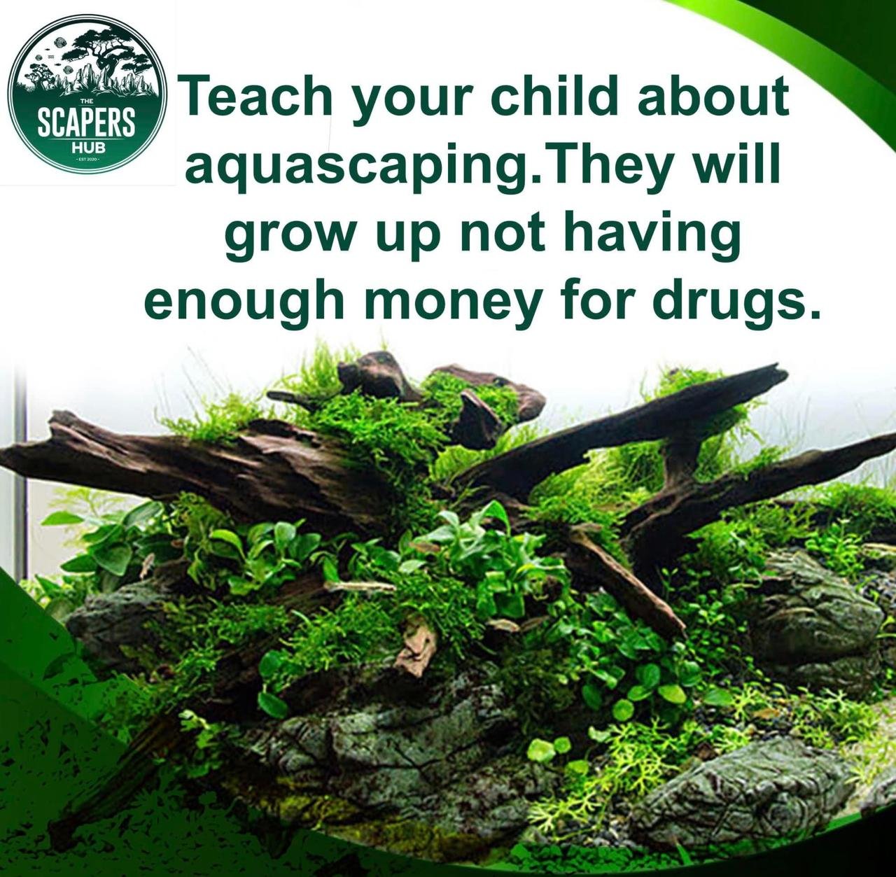 WhatsApp Image 2025-08-07 at 12.16.32_7d56f78e