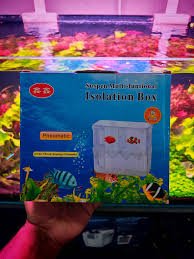 xinxin breeding box